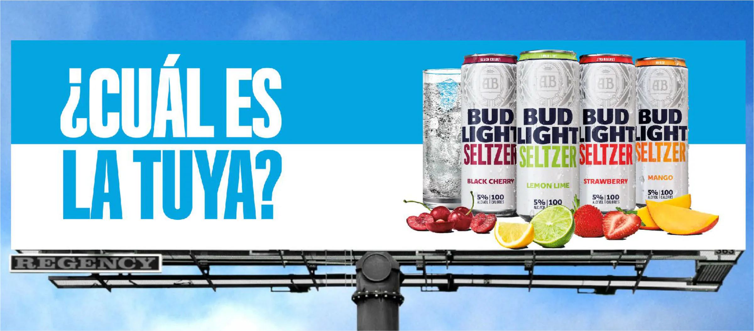 Bud Light Seltzer, gallery, image 3