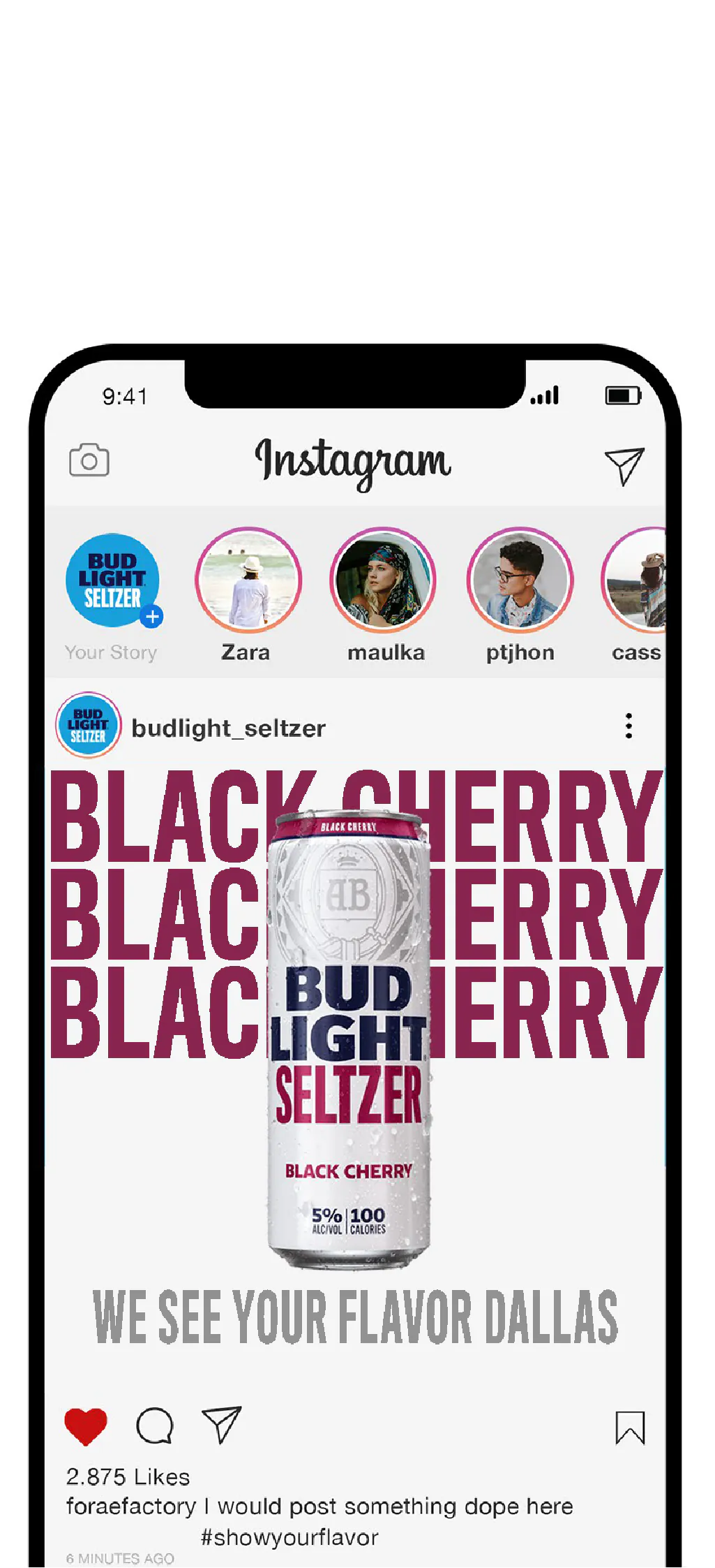Bud Light Seltzer, gallery, image 5