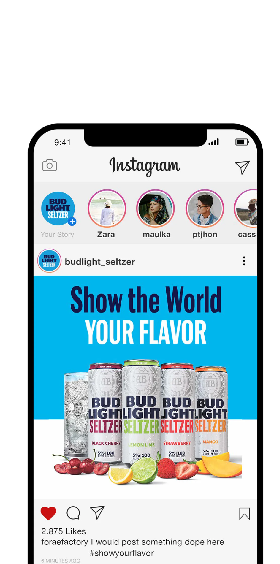 Bud Light Seltzer, gallery, image 6